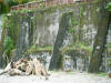 2011-03-20-HO-085.jpg (88285 bytes)