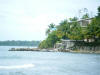 2011-03-20-HO-087.jpg (49902 bytes)