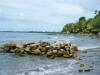 2011-03-20-HO-088.jpg (56003 bytes)