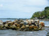 2011-03-20-HO-090.jpg (55091 bytes)