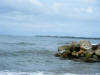 2011-03-20-HO-091.jpg (42750 bytes)