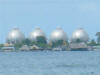 2011-03-20-HO-096.jpg (31123 bytes)