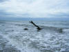 2011-03-20-HO-101.jpg (52542 bytes)