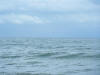 2011-03-20-HO-102.jpg (39049 bytes)