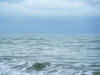 2011-03-20-HO-103.jpg (45681 bytes)