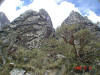 2005-11-12-HU-041.jpg (87812 bytes)