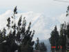 2006-04-13-AN-024.jpg (53533 bytes)