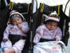 2006-04-13-AN-043.jpg (69449 bytes)
