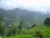 2006-04-13-AN-124.jpg (47618 bytes)