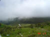2006-04-13-AN-133.jpg (37437 bytes)