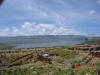 2006-04-13-AN-135.jpg (53870 bytes)