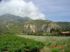 2006-04-13-AN-164.jpg (61067 bytes)