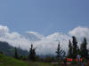 2006-04-13-AN-205.jpg (33719 bytes)