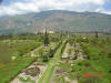 2006-04-13-AN-230.jpg (66556 bytes)