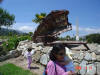 2006-04-13-AN-232.jpg (70825 bytes)