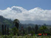 2006-04-13-AN-238.jpg (43379 bytes)