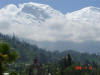 2006-04-13-AN-241.jpg (41481 bytes)