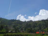 2006-04-13-AN-262.jpg (38510 bytes)