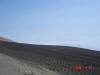 2006-04-13-AN-306.jpg (28225 bytes)
