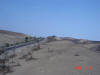 2006-04-13-AN-309.jpg (32524 bytes)