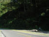 2005-07-La-Merced-02.jpg (47772 bytes)