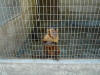 2005-07-La-Merced-11.jpg (70027 bytes)