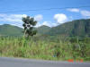 2005-07-La-Merced-17.jpg (70223 bytes)