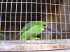 2005-07-La-Merced-22.jpg (64106 bytes)