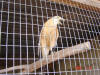 2005-07-La-Merced-24.jpg (75799 bytes)