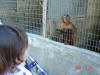 2005-07-La-Merced-25.jpg (67702 bytes)