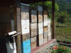 2005-07-La-Merced-32.jpg (70513 bytes)