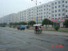 2003-09-27-LY-41.jpg (110408 bytes)