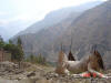 2004-12-05-LI-47.jpg (59268 bytes)