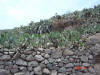2004-12-05-LI-77.jpg (78425 bytes)