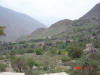 2004-12-05-LI-80.jpg (58248 bytes)