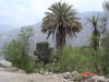 2004-12-05-LI-83.jpg (74611 bytes)