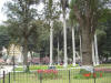 2004-12-05-LI-91.jpg (92921 bytes)