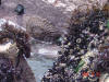 2004-12-25-LI-45.jpg (93510 bytes)