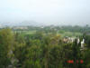 2005-01-16-LI-04.jpg (49320 bytes)