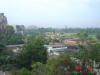 2005-01-16-LI-11.jpg (53810 bytes)