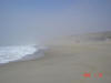 2005-01-22-LI-061.jpg (16786 bytes)