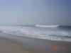 2005-01-22-LI-070.jpg (26221 bytes)