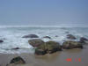 2005-01-22-LI-075.jpg (35367 bytes)