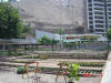2005-02-06-LI-07.jpg (87788 bytes)