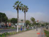 2005-04-03-LI-19.jpg (50563 bytes)