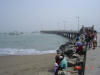 2005-04-03-LI-51.jpg (38865 bytes)