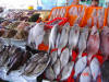 2005-04-03-LI-60.jpg (80876 bytes)