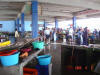 2005-04-03-LI-61.jpg (61429 bytes)