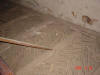 2005-06-29-LI-082.jpg (43233 bytes)