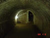 2005-06-29-LI-087.jpg (35633 bytes)